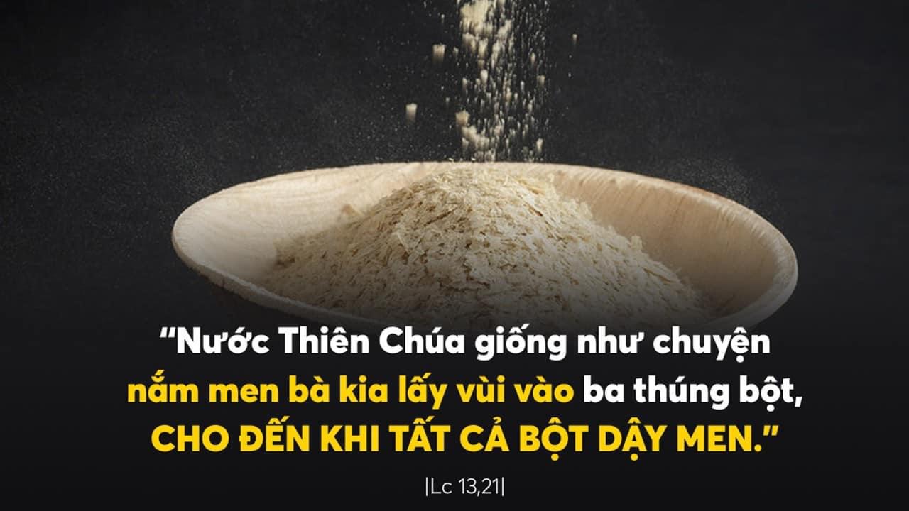 Ngày 31.10.2023: "Hạt cải lớn lên và trở thành cây"