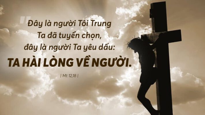 Ngày 20-07-2024, Thứ Bảy Tuần XV – Mùa Thường Niên