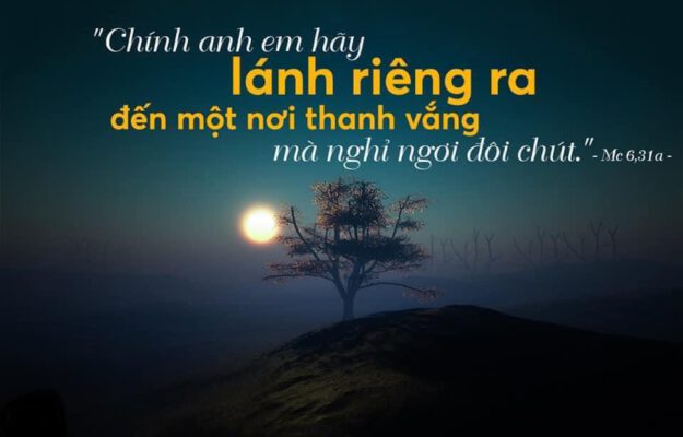 Ngày 21-07-2024, Chúa Nhật Tuần XVI – Mùa Thường Niên