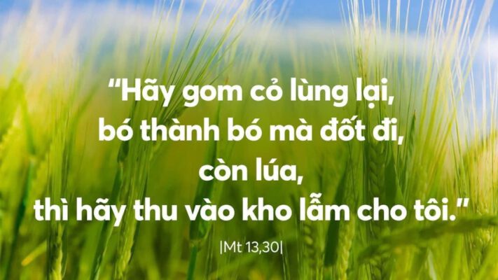 Ngày 27-07-2024, Thứ Bảy Tuần XVI – Mùa Thường Niên