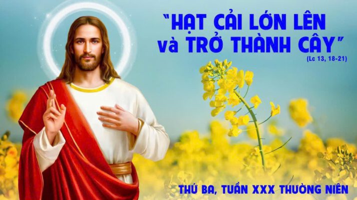 GIÁO XỨ THÁNH ĐA MINH (BA CHUÔNG)