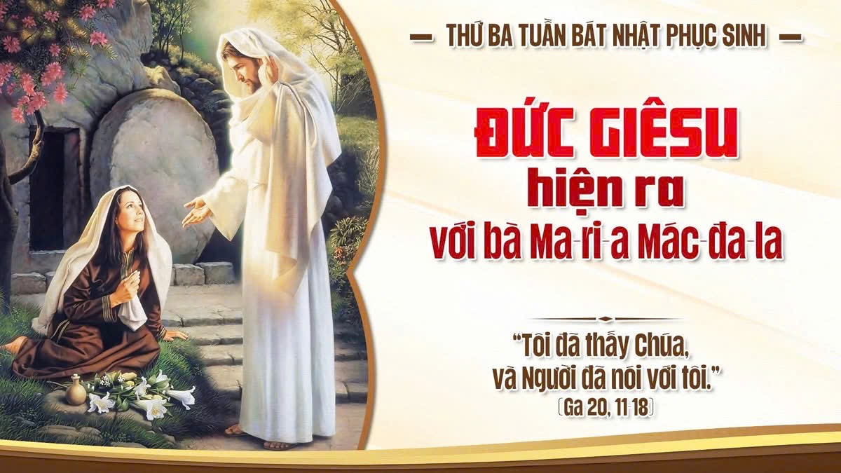 GIÁO XỨ THÁNH ĐA MINH (BA CHUÔNG)