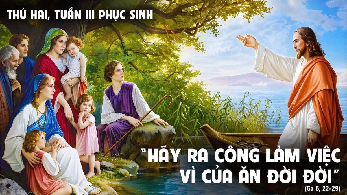 GIÁO XỨ THÁNH ĐA MINH (BA CHUÔNG)