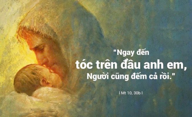 Ngày 21-06-2026, Chúa Nhật Tuần XII - Mùa Thường Niên, Năm A