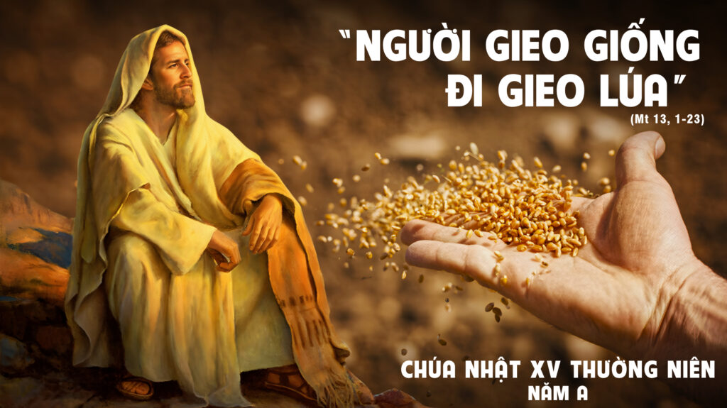 GIÁO XỨ THÁNH ĐA MINH (BA CHUÔNG)