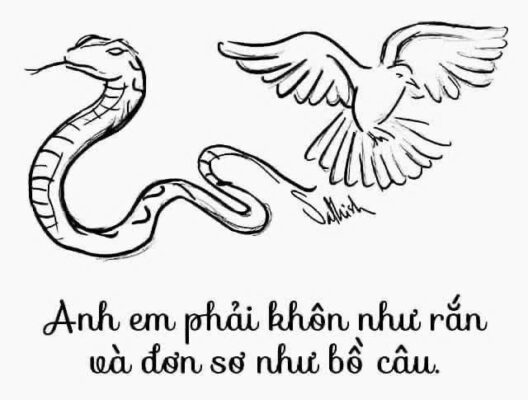 Ngày 10-07-2026, Thứ Sáu Tuần XIV MùaThường Niên Ngày 10-07-2026, Thứ Sáu Tuần XIV MùaThường Niên