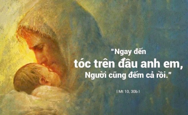 Ngày 11-07-2026, Thứ Bảy Tuần XIV Mùa Thường niên Ngày 11-07-2026, Thứ Bảy Tuần XIV Mùa Thường niên