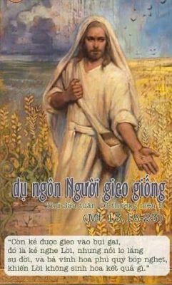 Ngày 24-07-2026, Thứ Sáu Tuần XVI Mùa Thường niên
