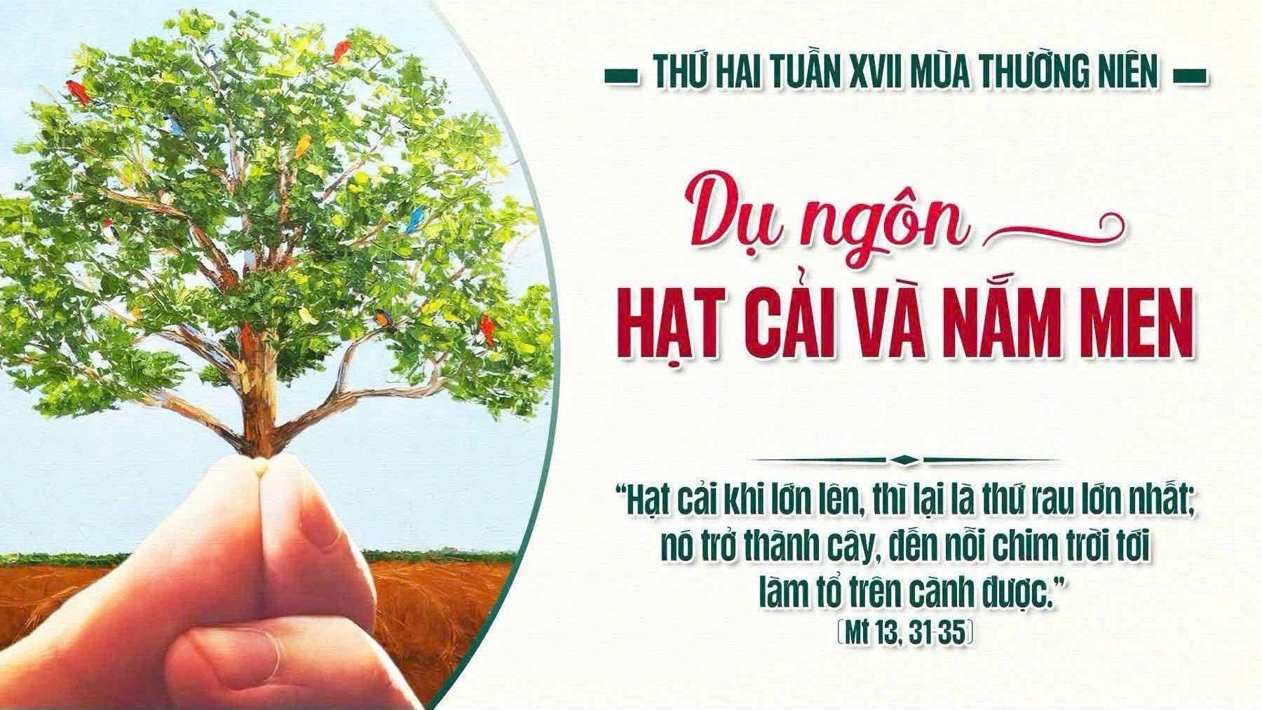 GIÁO XỨ THÁNH ĐA MINH (BA CHUÔNG)