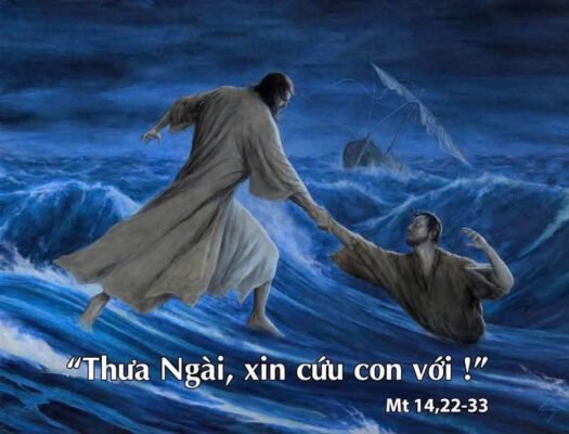 Ngày 09-08-2026, Chúa Nhật Tuần XIX Mùa Thường Niên, Năm A