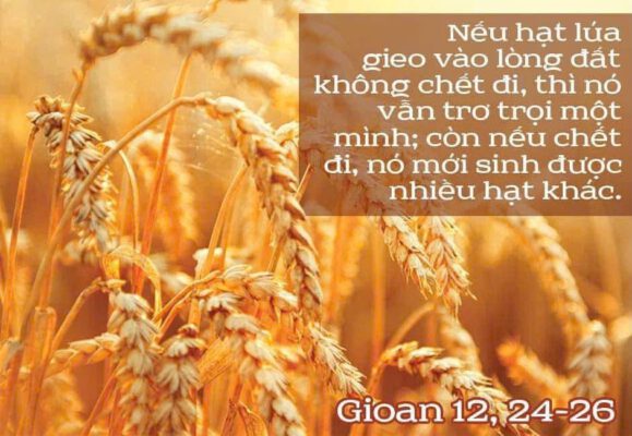 Ngày 10-08-2026, Lễ Thánh Lôrensô, Phó tế, tử đạo, lễ kính Ngày 10-08-2026, Lễ Thánh Lôrensô, Phó tế, tử đạo, lễ kính