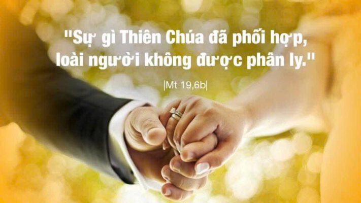 Ngày 14-08-2026, Thứ Sáu Tuần XIX Mùa Thường niên
