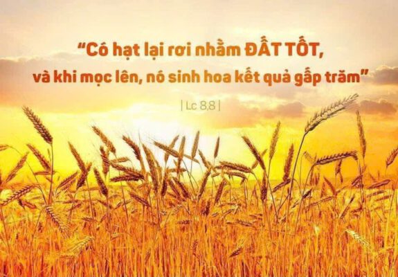 Ngày 19-09-2026, Thứ Bảy Tuần 24 Mùa Thường niên