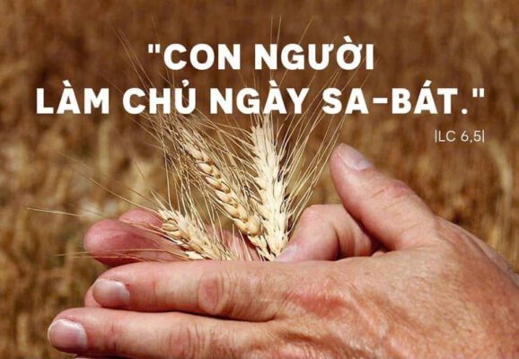 Ngày 05-09-2026, Thứ Bảy tuần XXII Mùa Thường niên