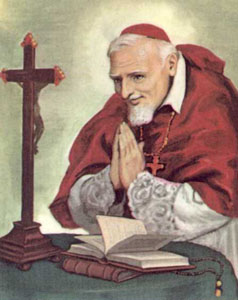 Thánh Alphongsô Ligôri, Giám mục Tiến sĩ