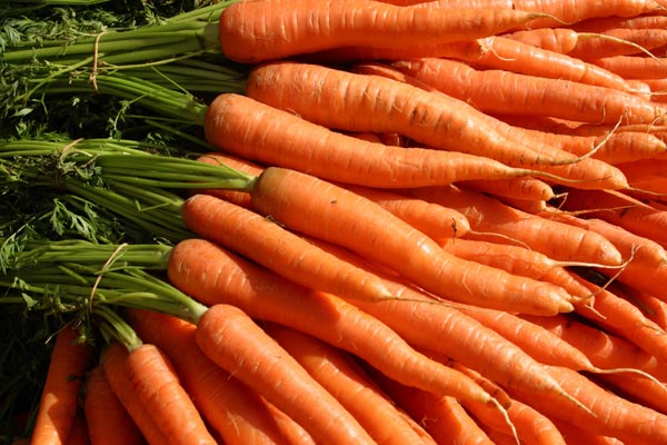Củ Cà Rốt