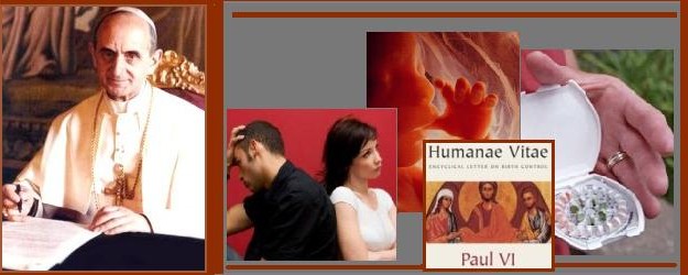 TH online 55: HN gia đình theo TĐ. Humanae Vitae